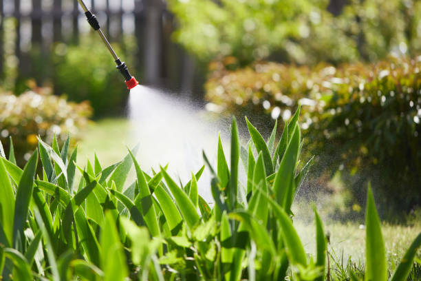 Tamper-Resistant Bait Stations for Rodents in Hendron