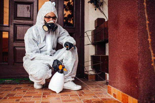 Attic and Crawl Space Rodent Treatment in Hendron