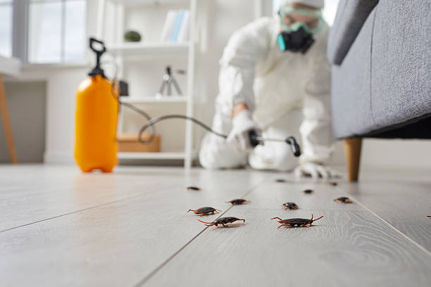 Commercial Rodent Management in Hendron